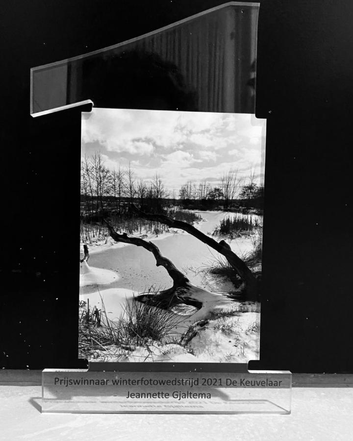 Winnaar allereerste winterfotowedstrijd